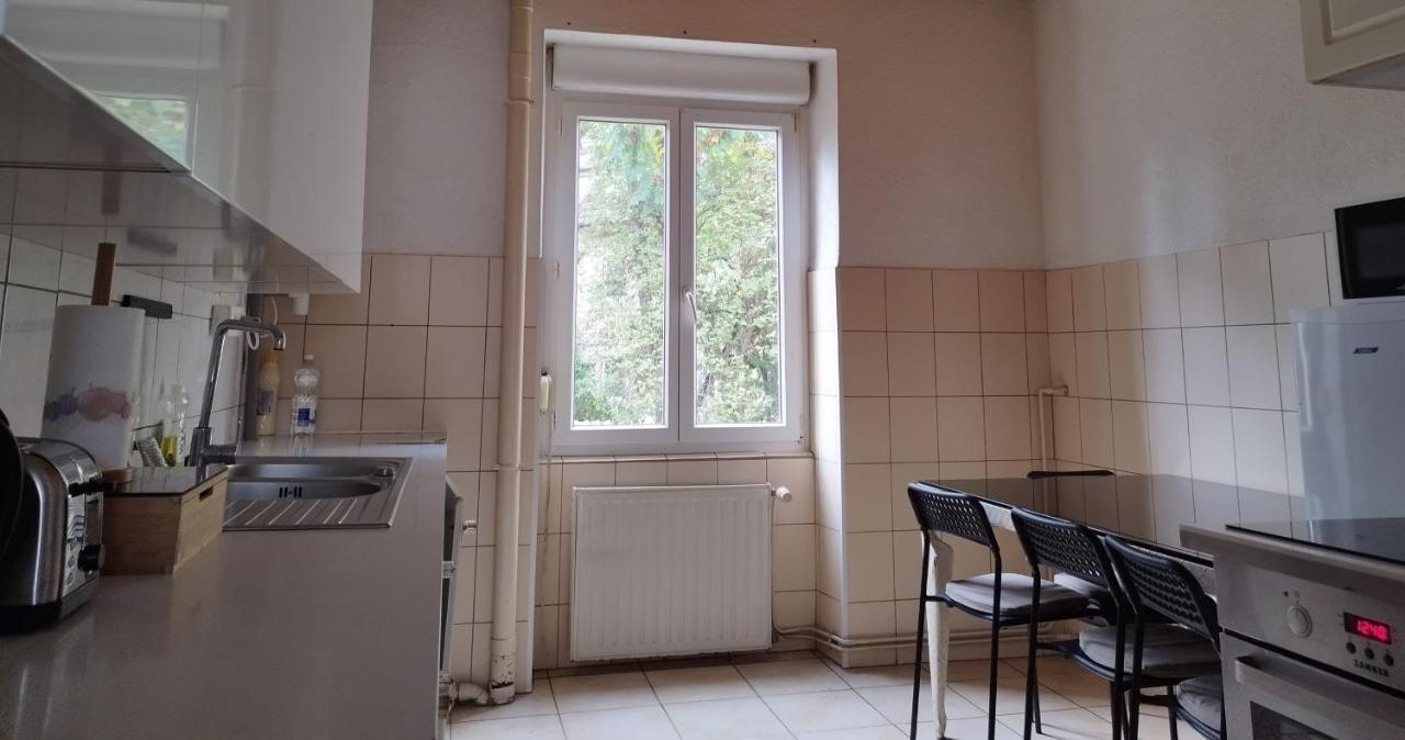 Le Thannois - Appartement 2 Chambres, Salon, Cuisine Equipee, Parking Et Wifi Gratuit Mulhouse Dış mekan fotoğraf