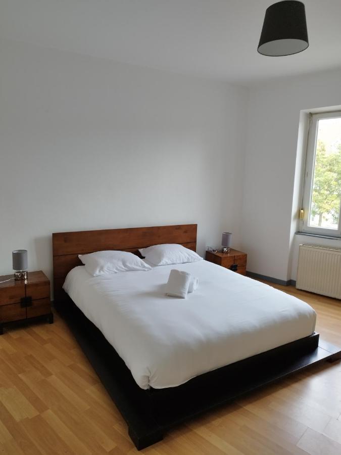 Le Thannois - Appartement 2 Chambres, Salon, Cuisine Equipee, Parking Et Wifi Gratuit Mulhouse Dış mekan fotoğraf